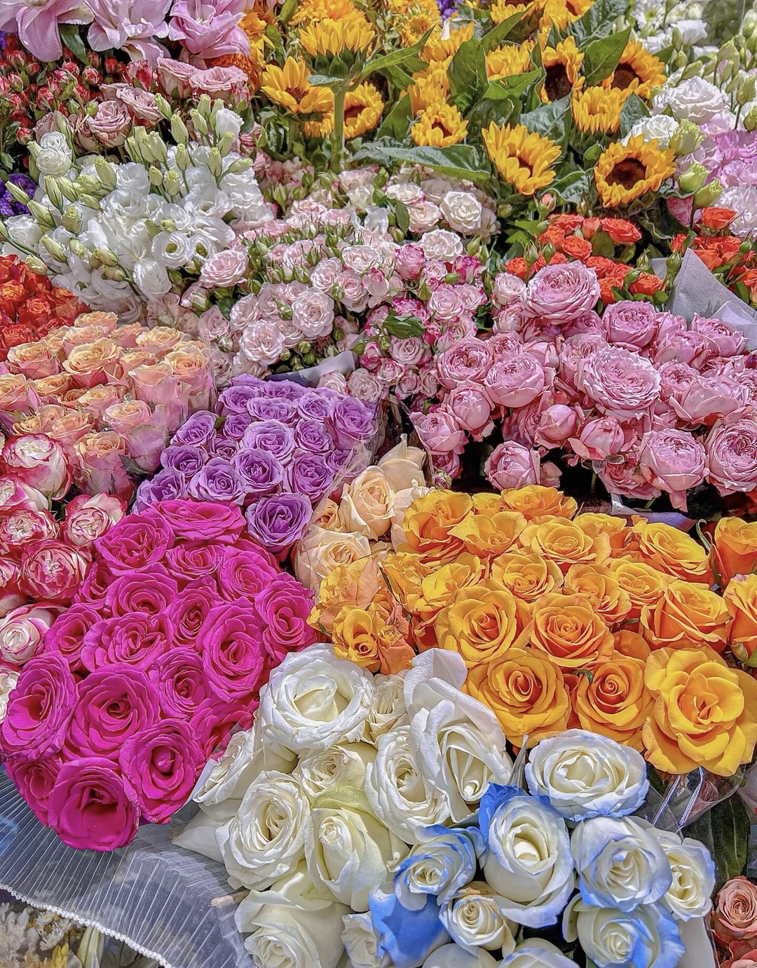 • 赏花是春日幸事 • 喜欢鲜花 喜欢浪 配图2
