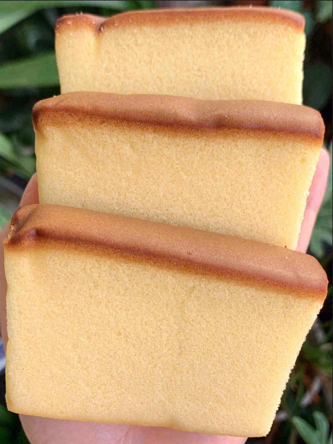 🍞饱满细腻，你轻轻按压就能在上面留下手印 配图3