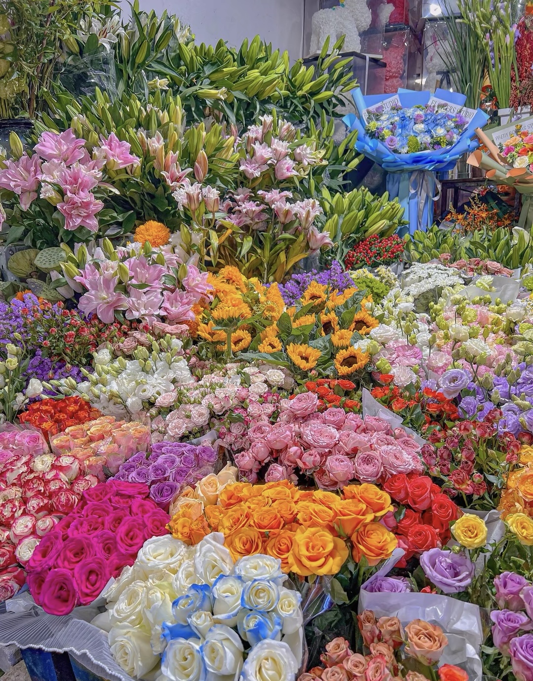 • 赏花是春日幸事 • 喜欢鲜花 喜欢浪 配图1