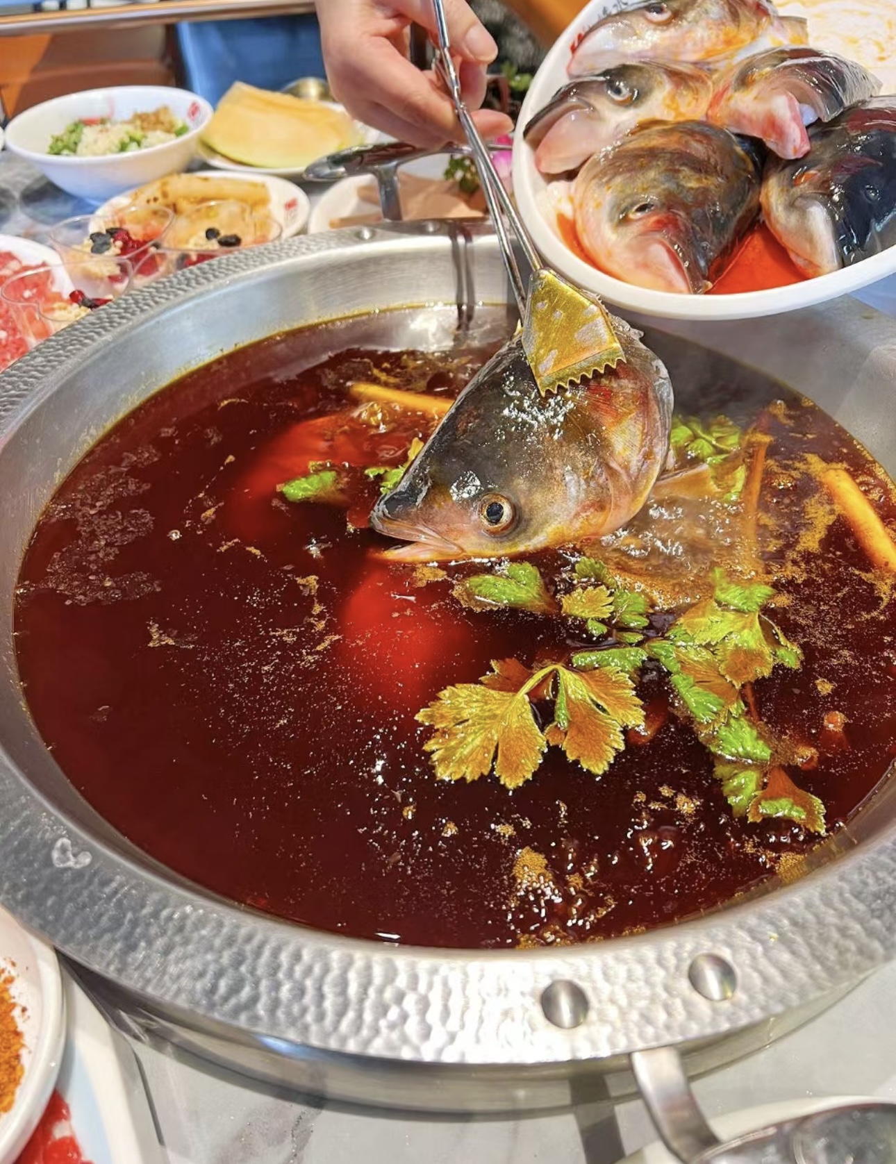 🐟鱼头火锅，鲜美的代名词！🤩 🥘 现杀的 配图3