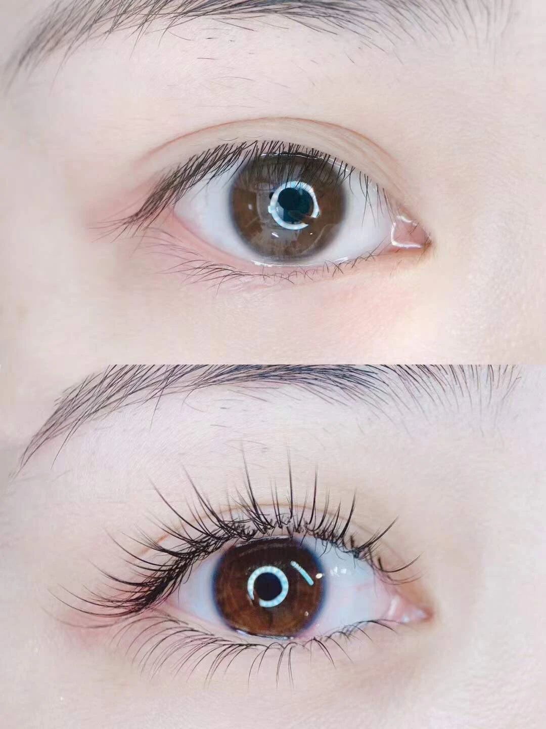 乱花渐欲迷人眼 做了美睫才明显