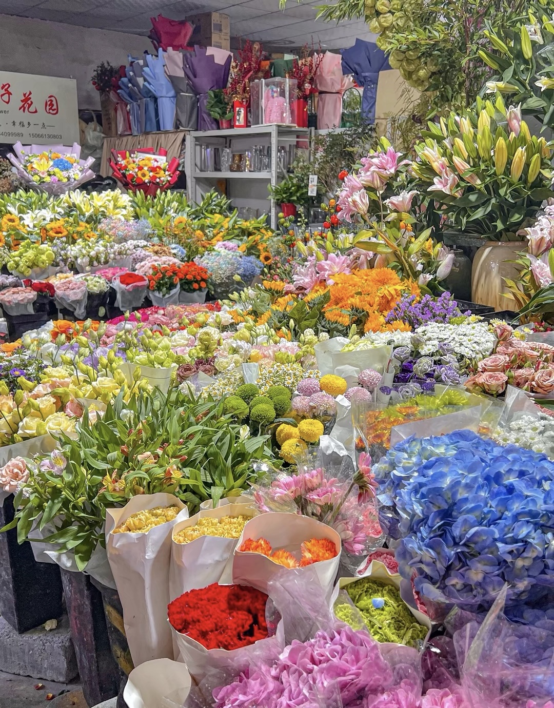 • 赏花是春日幸事 • 喜欢鲜花 喜欢浪 配图3