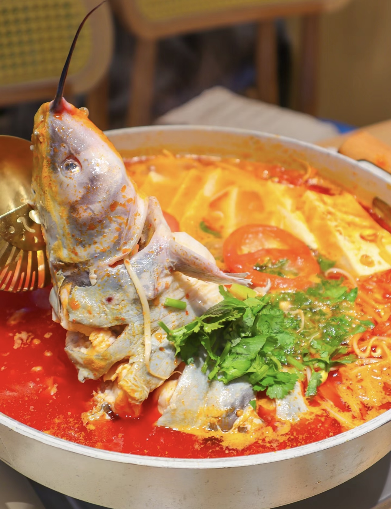 鲜嫩鱼肉，融入酸辣浓郁的汤中。酸汤鱼火锅 配图1