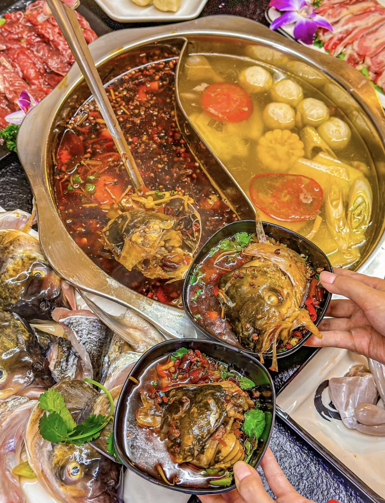美好从这一锅鱼头火锅开始。硕大的鱼头在锅 配图1