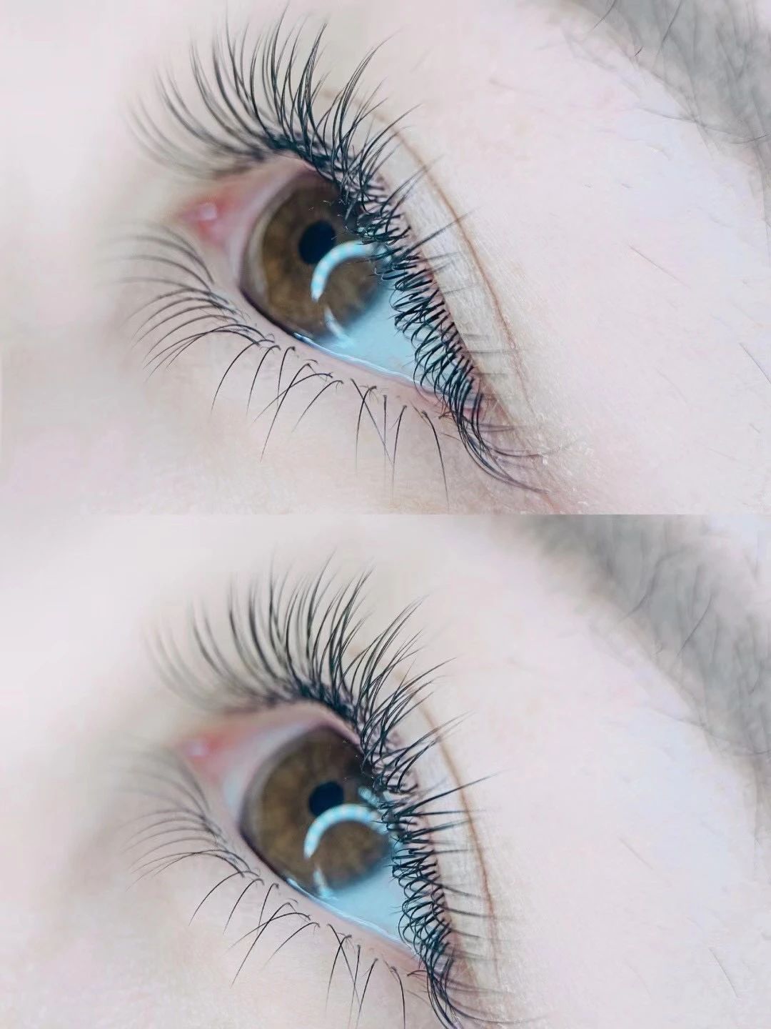 •°o.O ᗰEI ᒍIE O.o°• 