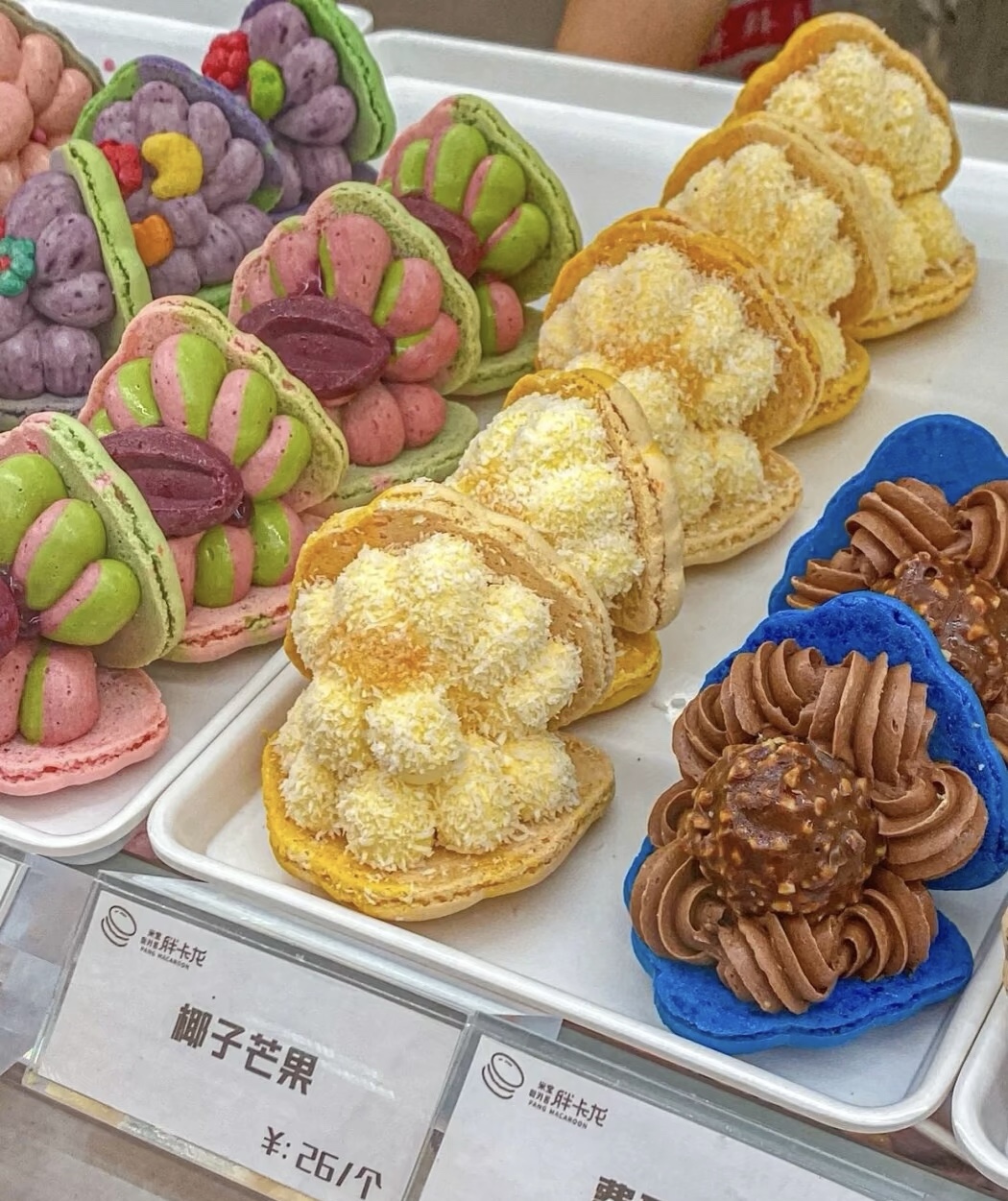 想想，人生哪有那么多来日方长啊，生活有时 配图2
