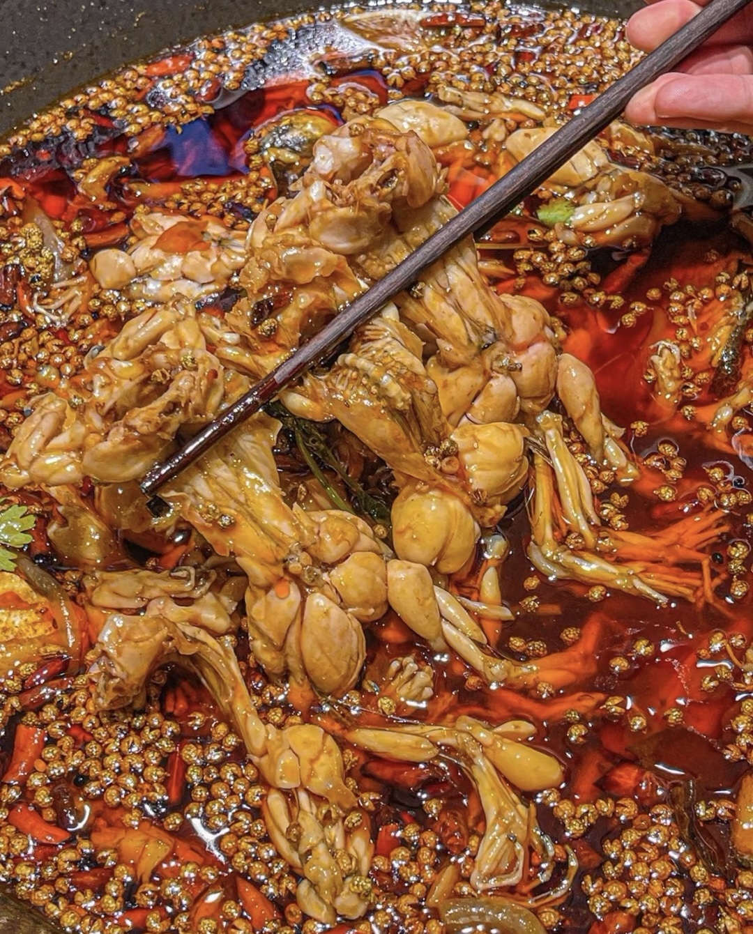 锅底端上是已经煮好的蛙蛙！可直接吃！蛙的 配图3