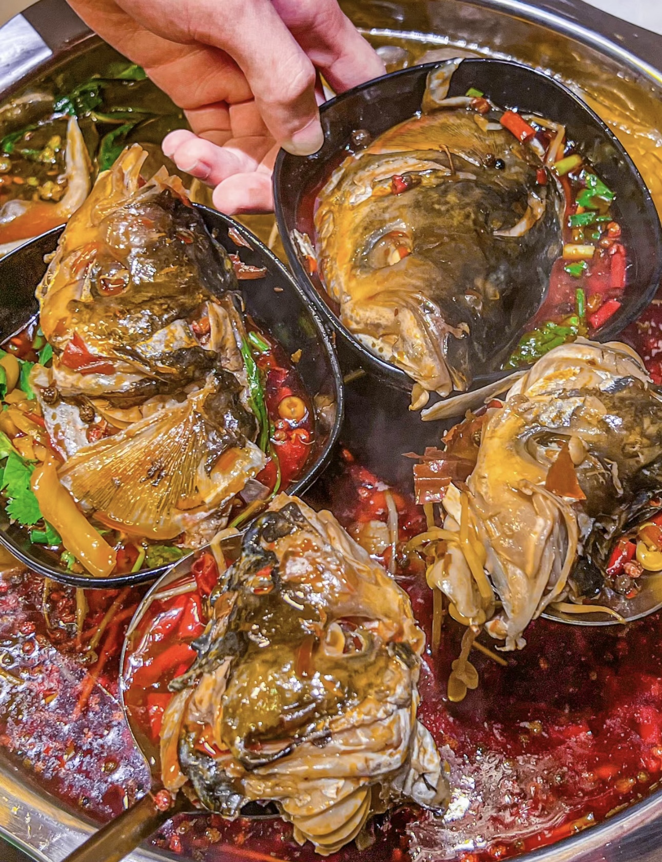 美好从这一锅鱼头火锅开始。硕大的鱼头在锅 配图3