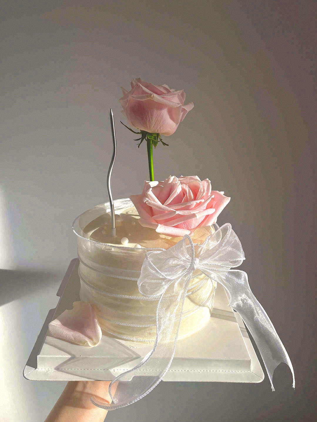 💛纯净的颜色，精致的外观🍰 搭配戚风蛋糕