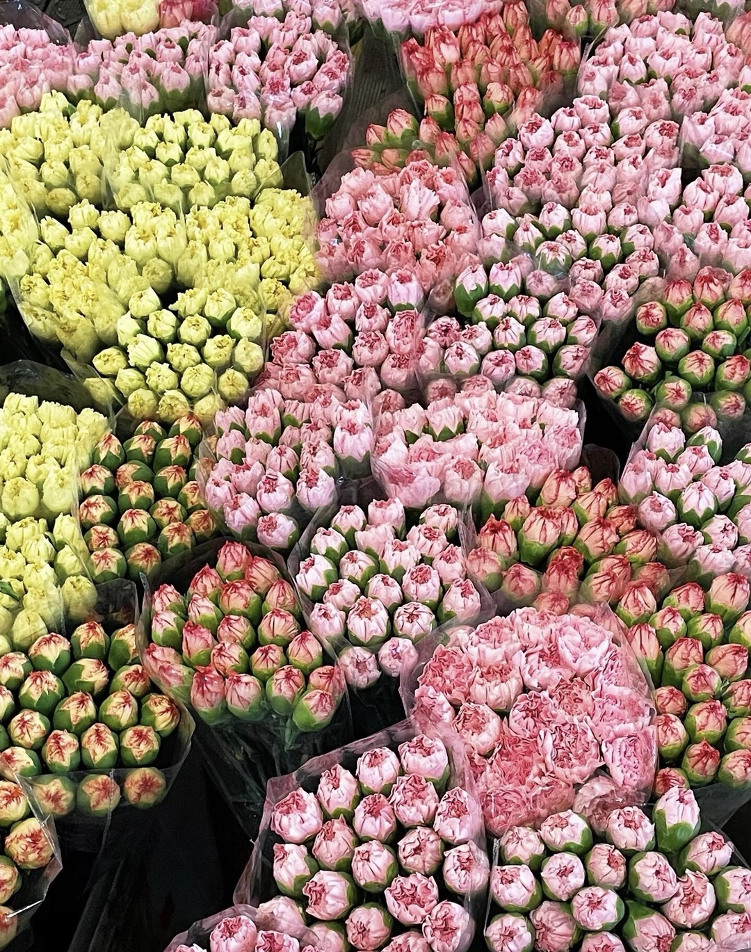 送她一束花吧，用一束花讲述一个浪漫的故事.我的意思是买花找我 配图5