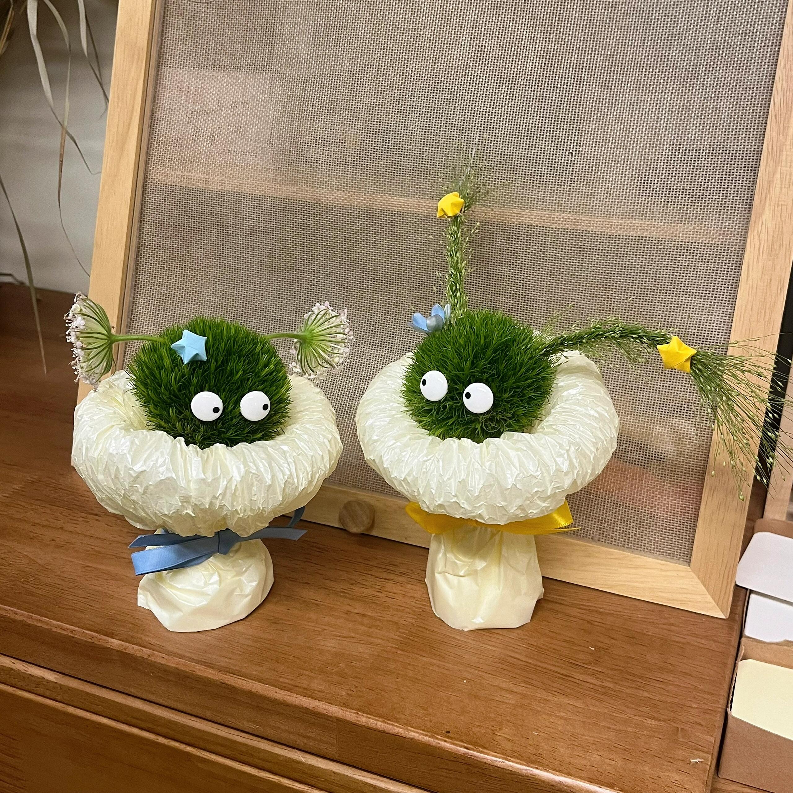 哈哈 🤣被玩疯的绿毛球 也太可爱了🍀 小 配图3