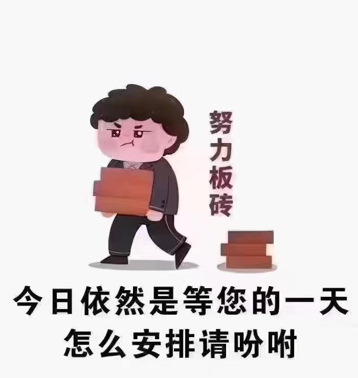 今天依然是努力的一天 只宣传 不打扰 时