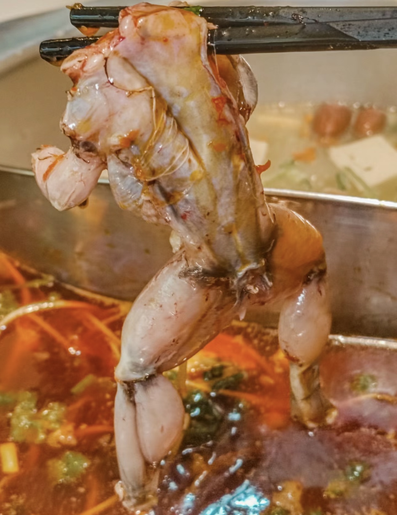 🐸田鸡火锅，舌尖上的美味😍！ 🥘现杀的田 配图3