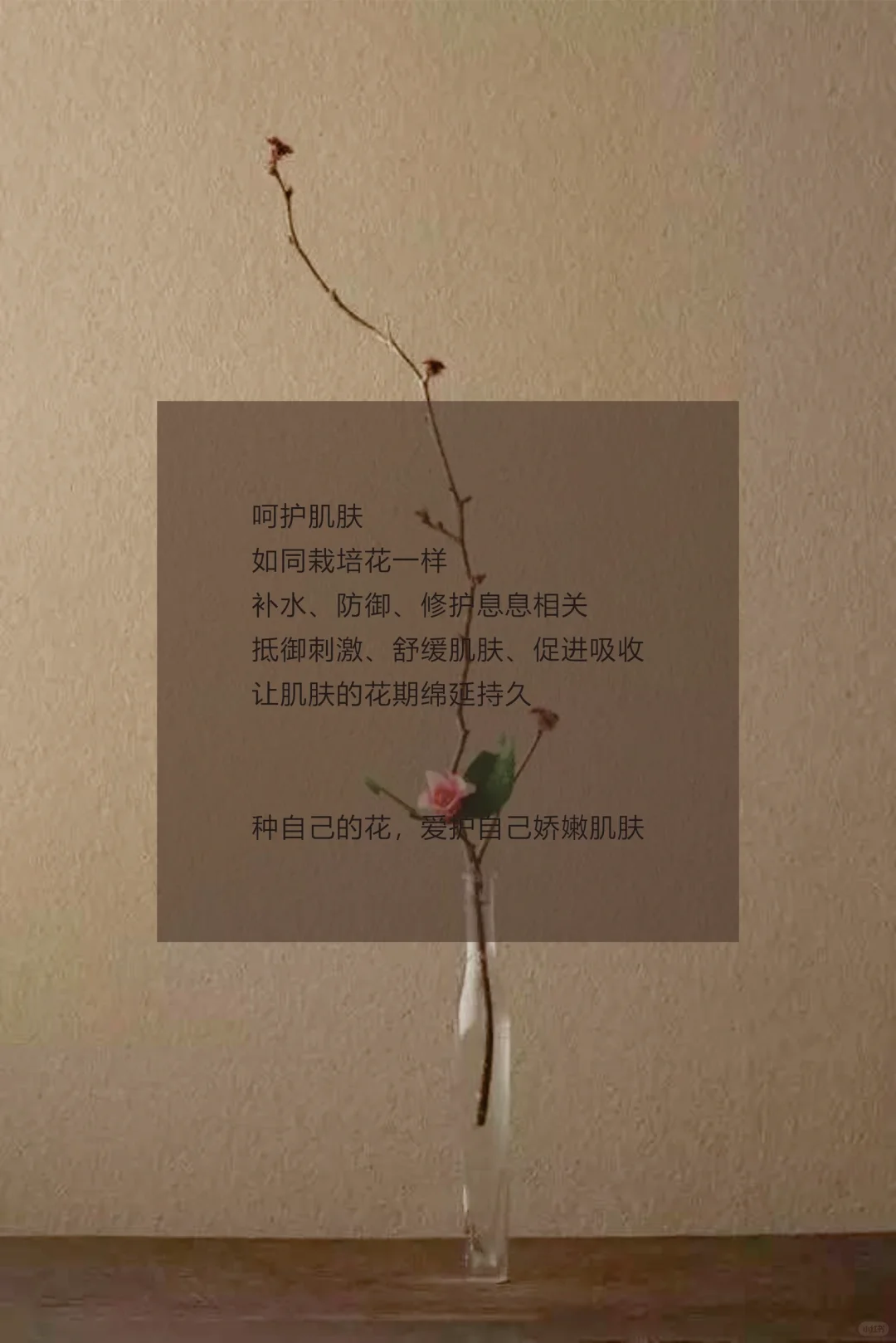 种自己的花 爱护自己娇嫩的肌肤🌺 配图1