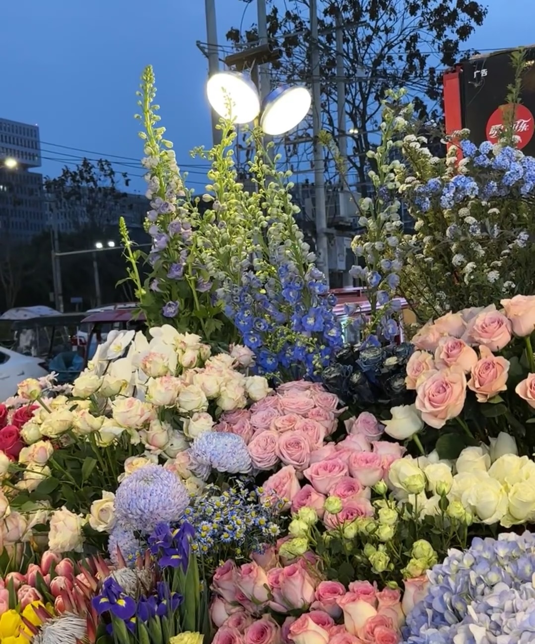 每个季节都有不一样的花，我们也会因花的开 配图1