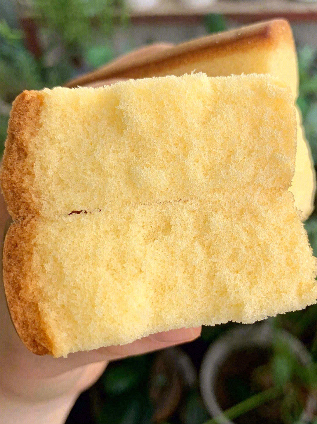 🍞饱满细腻，你轻轻按压就能在上面留下手印 配图1