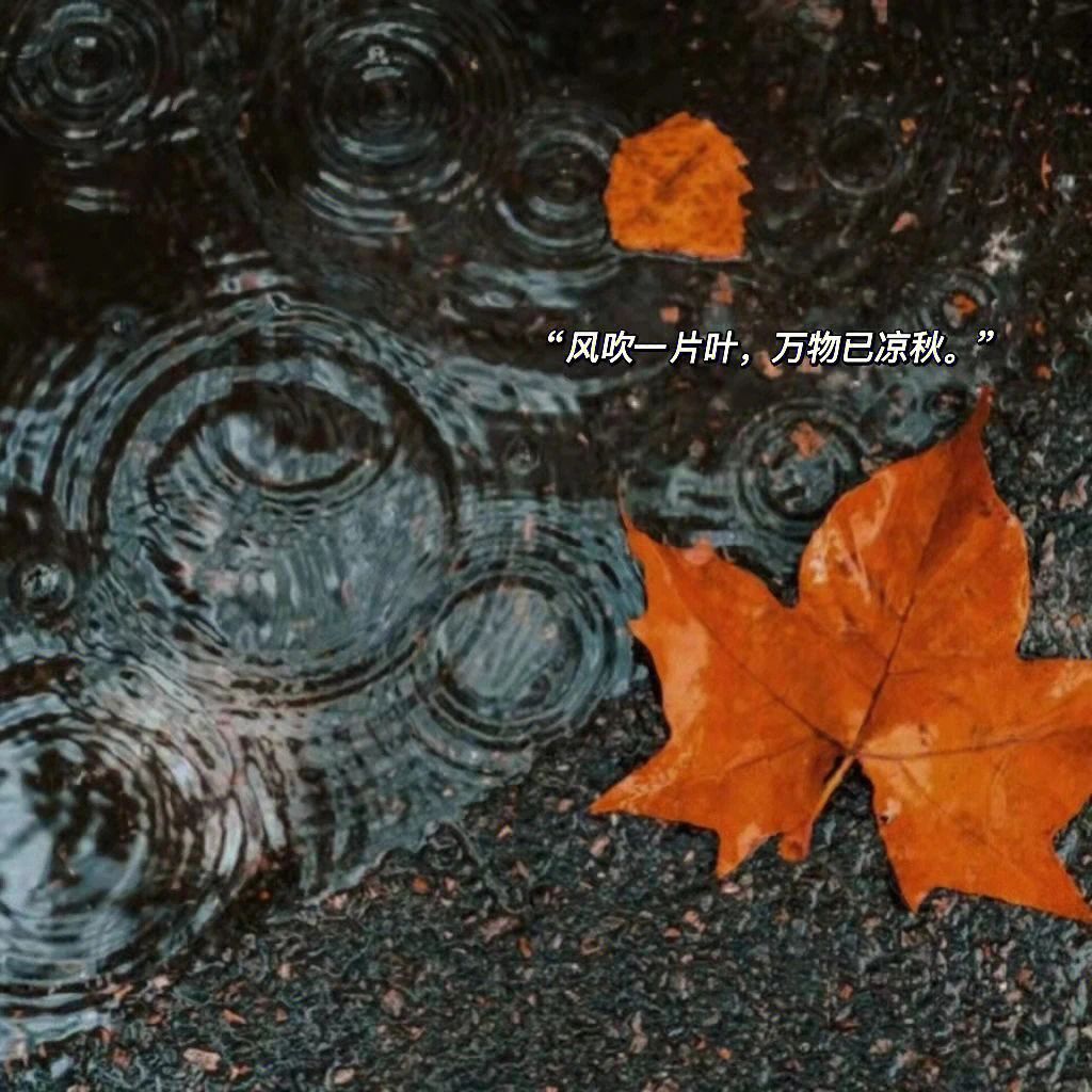 为什么秋风起，头发落？ 因为秋分过后，气
