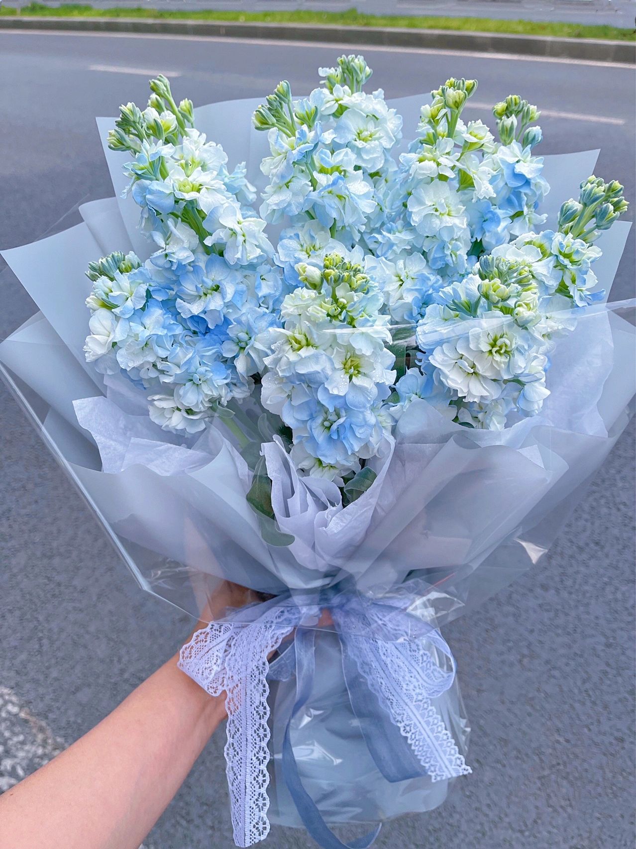 女神节碎冰蓝紫罗兰花束 自带香味的紫罗兰 配图1