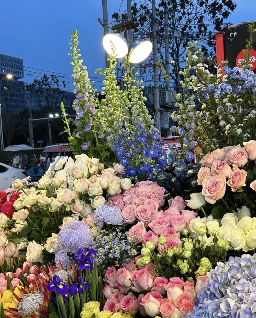 我把好运藏在花里，愿它给你带来幸运与欢愉 配图2