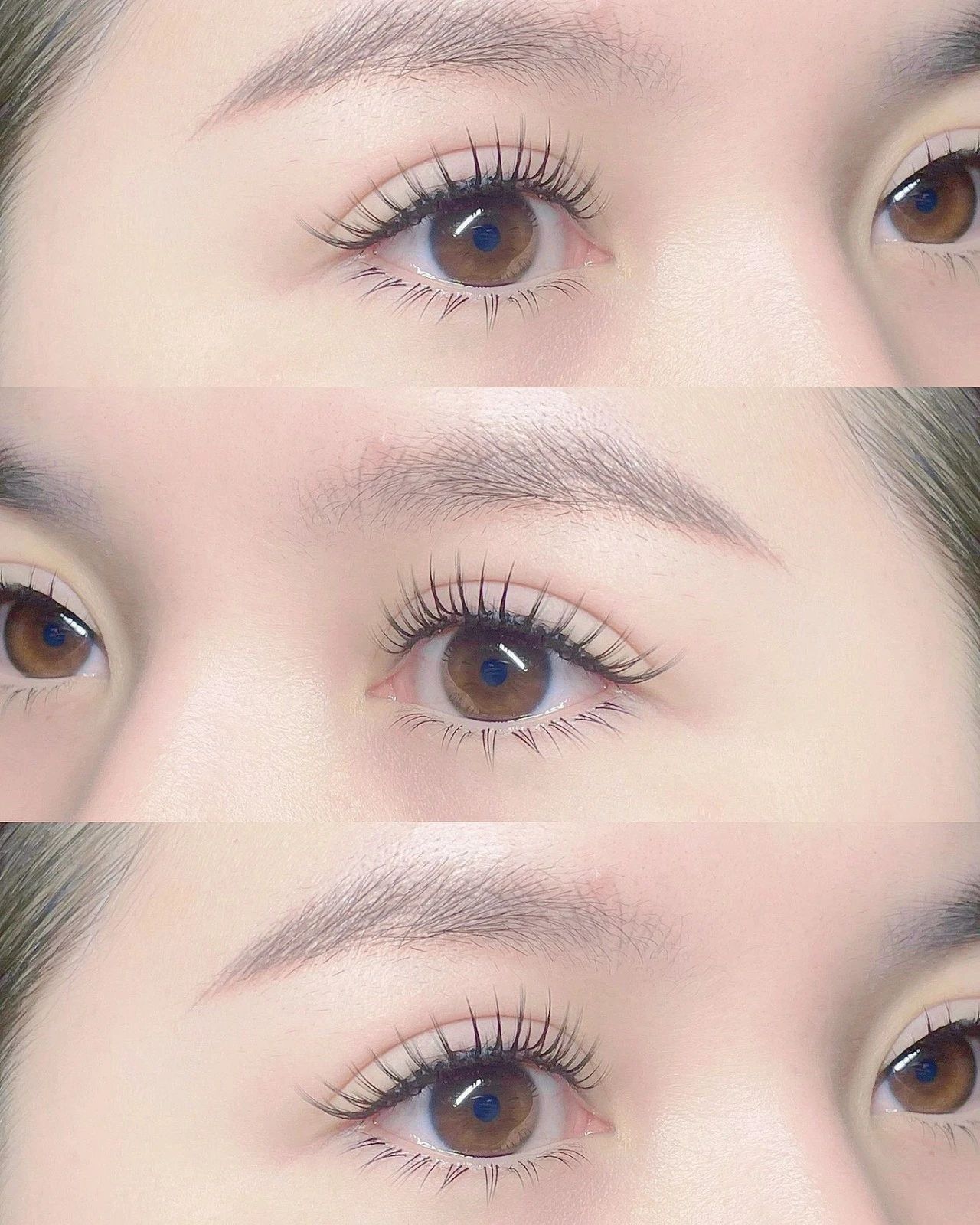 💫 * ੈ✩‧₊˚ᴹᴱᴵᴶᴵᴱ *｡⋆ 