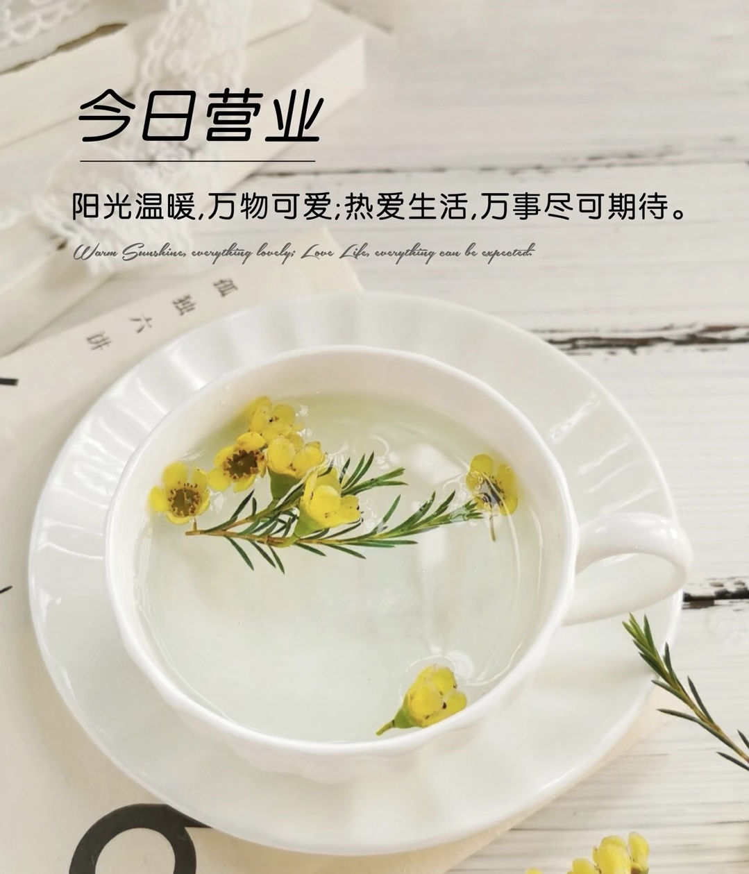阳光温暖，万物可爱，热爱生活，万事尽可期