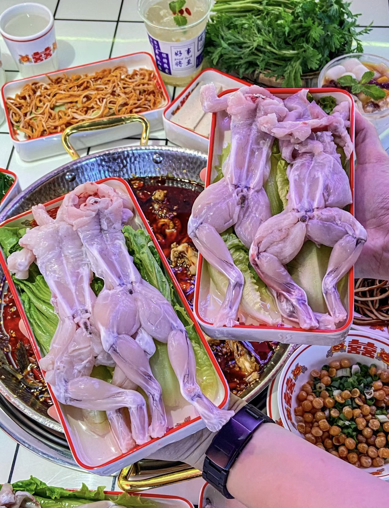肥美的田鸡在锅中煮出诱人鲜味，麻辣鲜香刺 配图3