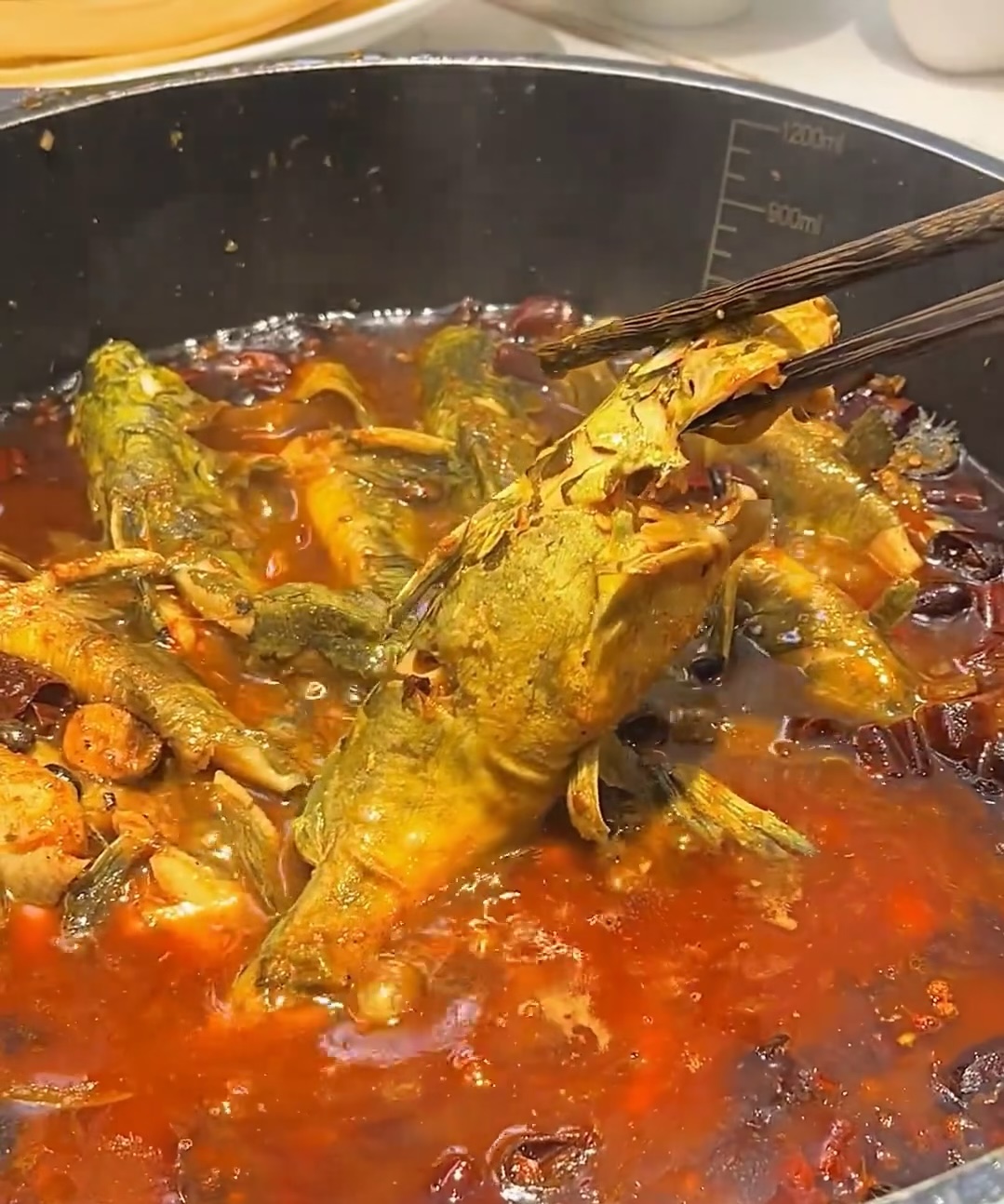 黄拉丁鲜鱼锅 活鱼现杀！！每一条鱼都鲜活 配图2