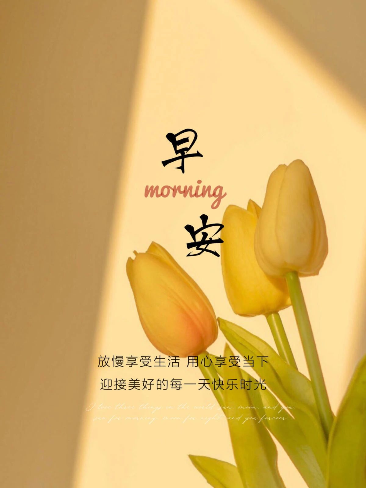 越焦虑的年代越要慢下来 把自己放在向上的
