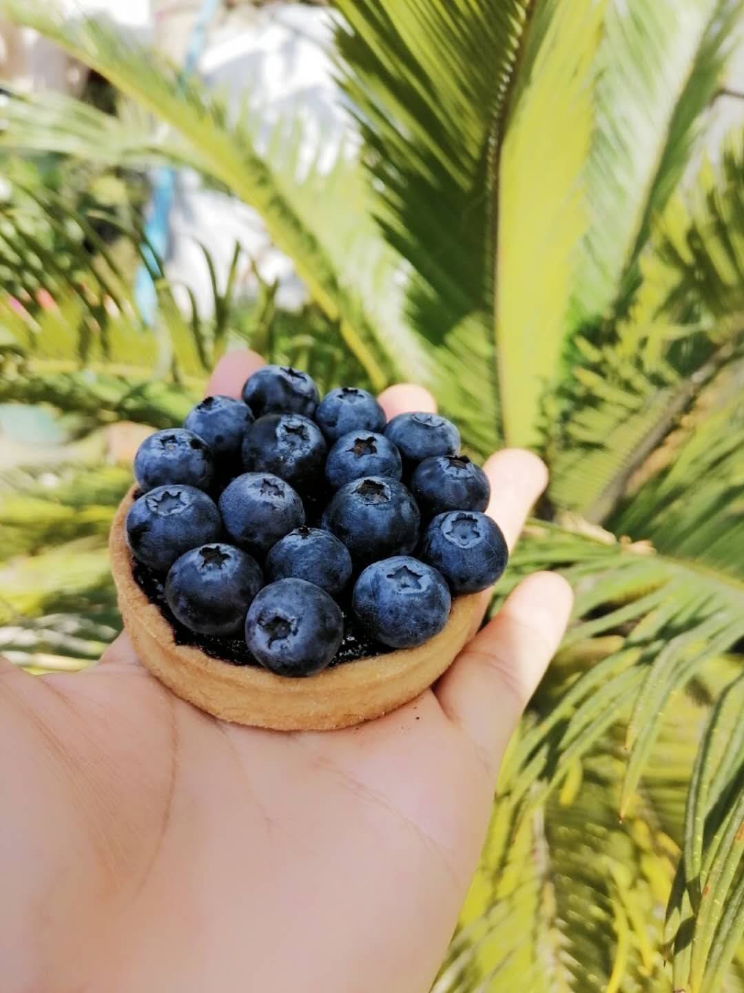 💫融合了蓝莓的酸和塔盘的甜🍭，将两种口味 配图1