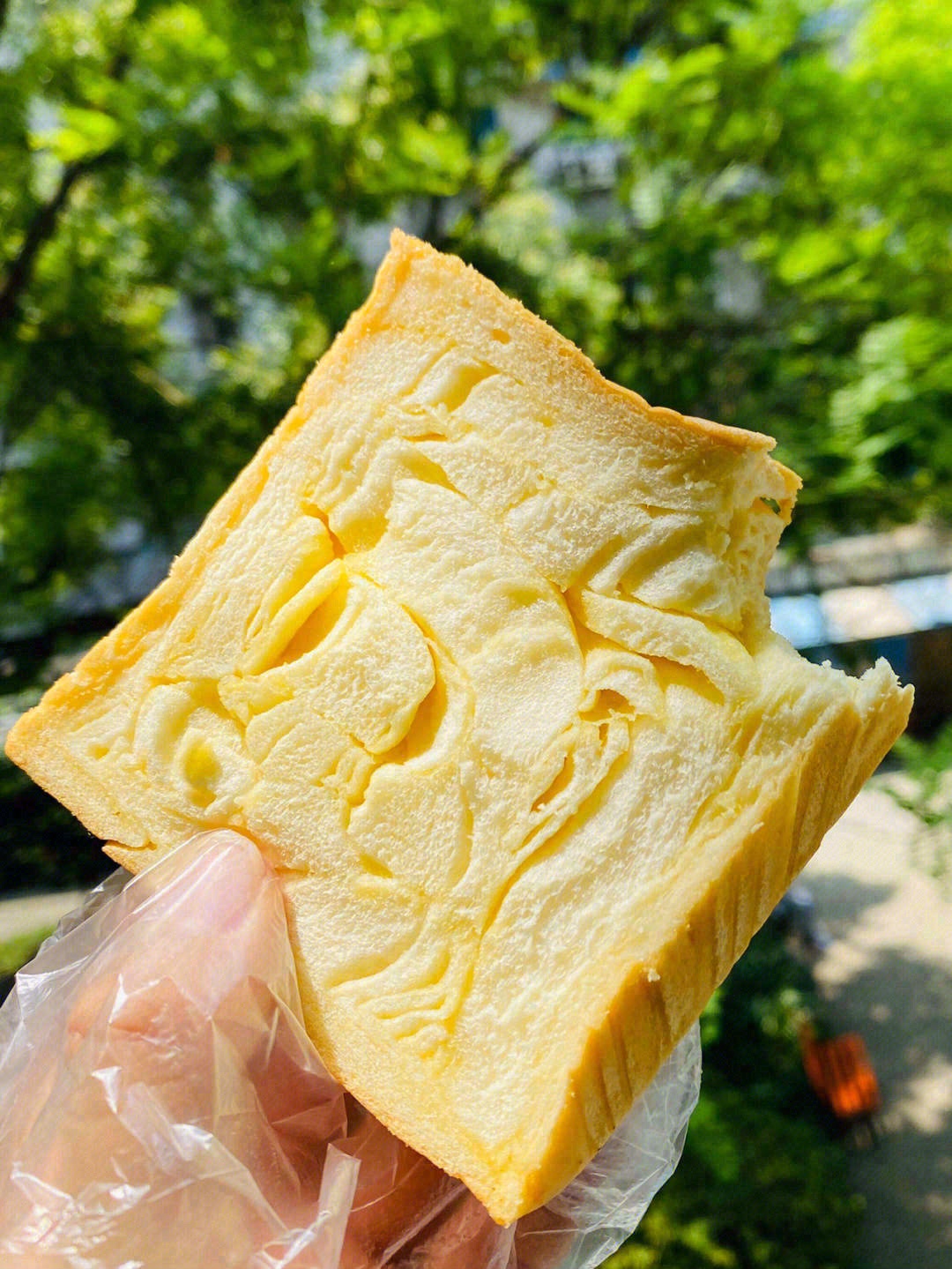 浪漫的灵魂从来不向平淡的日子妥协，即使只