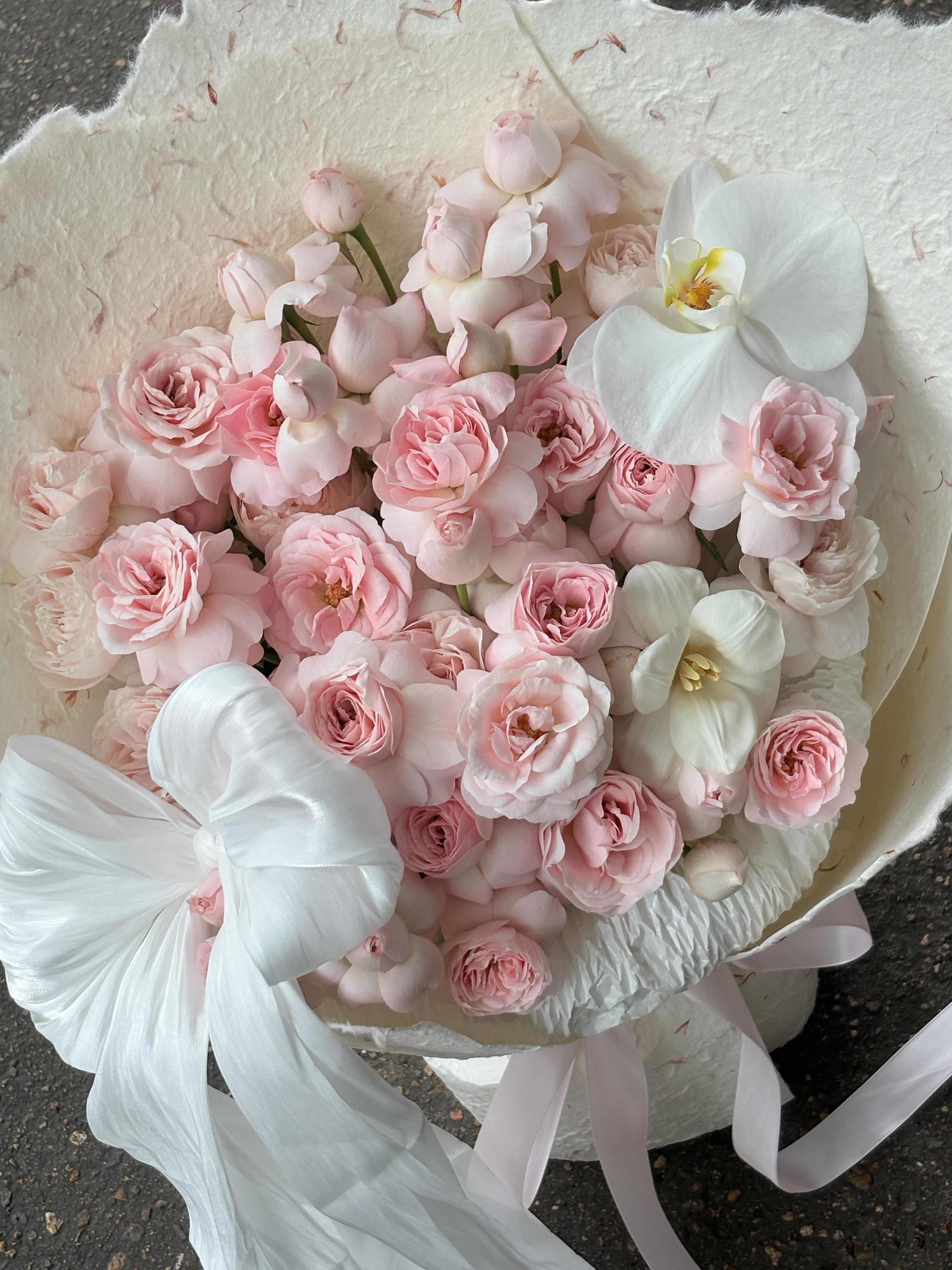 仙子之吻来咯🌸 淡粉色花瓣与杯状花型🌺共 配图3