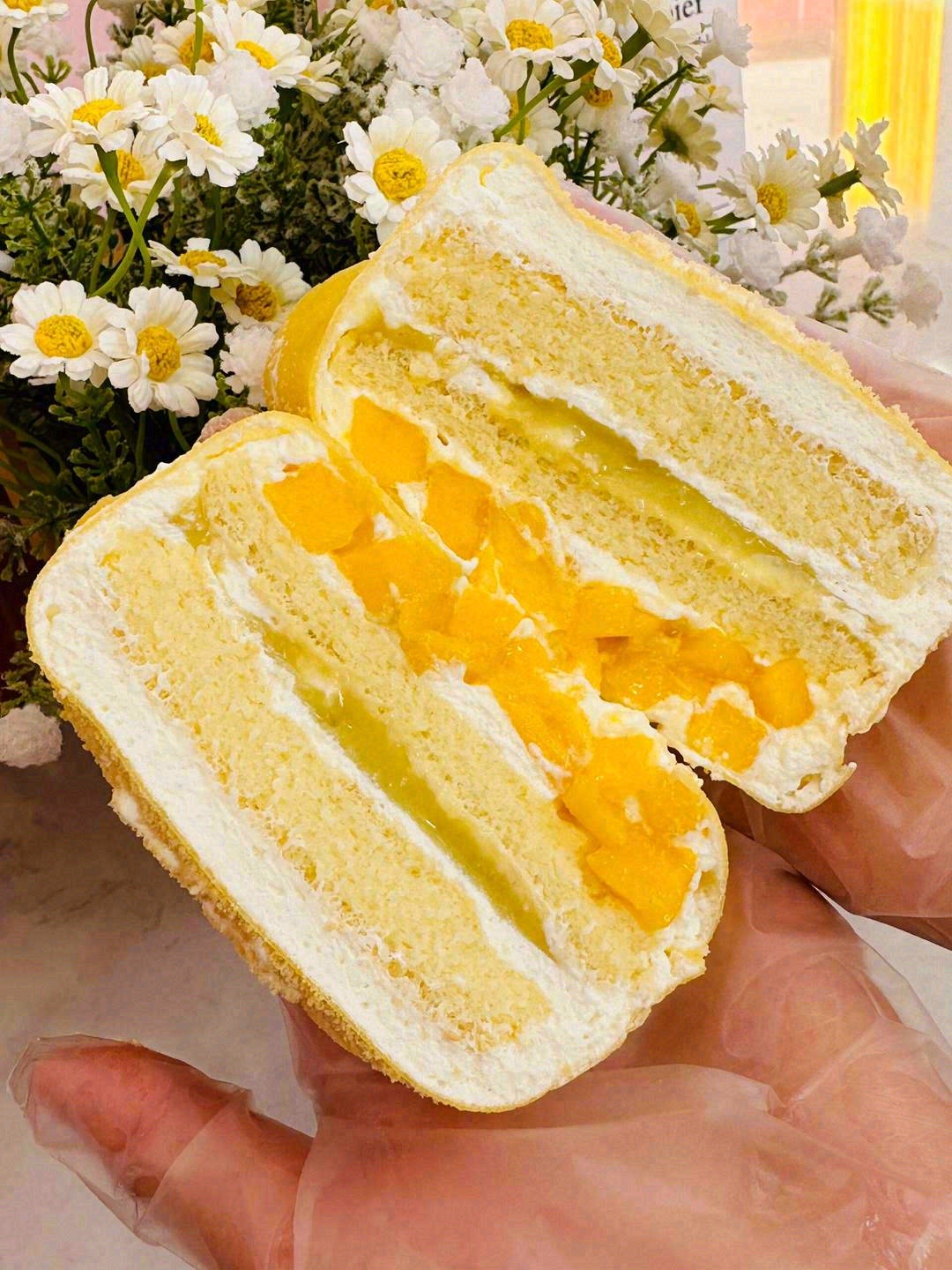 🌻𓂃ᐝ˖✧♡̆̈ 𐂂 生活应该是美好和温 配图1