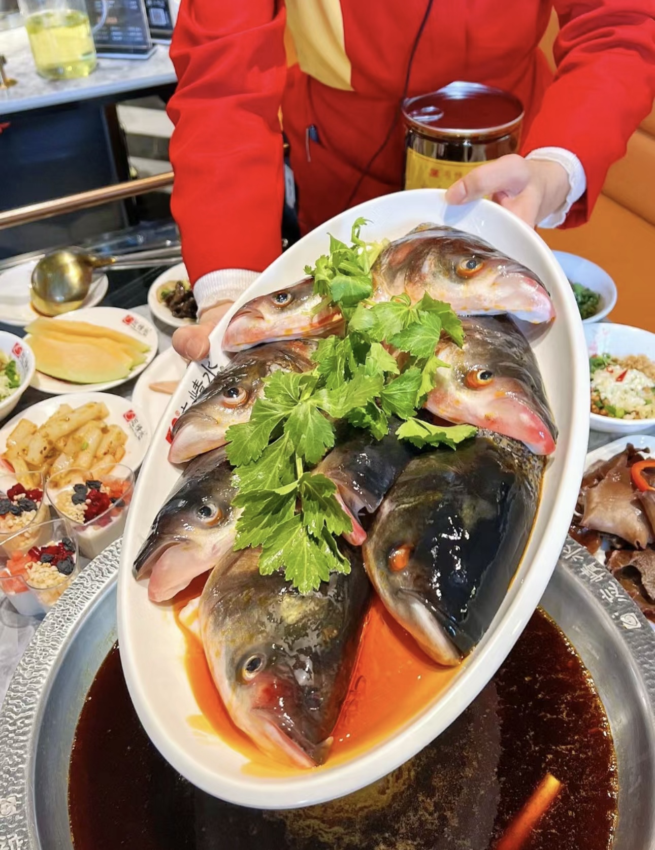 🐟鱼头火锅，鲜美的代名词！🤩 🥘 现杀的 配图1