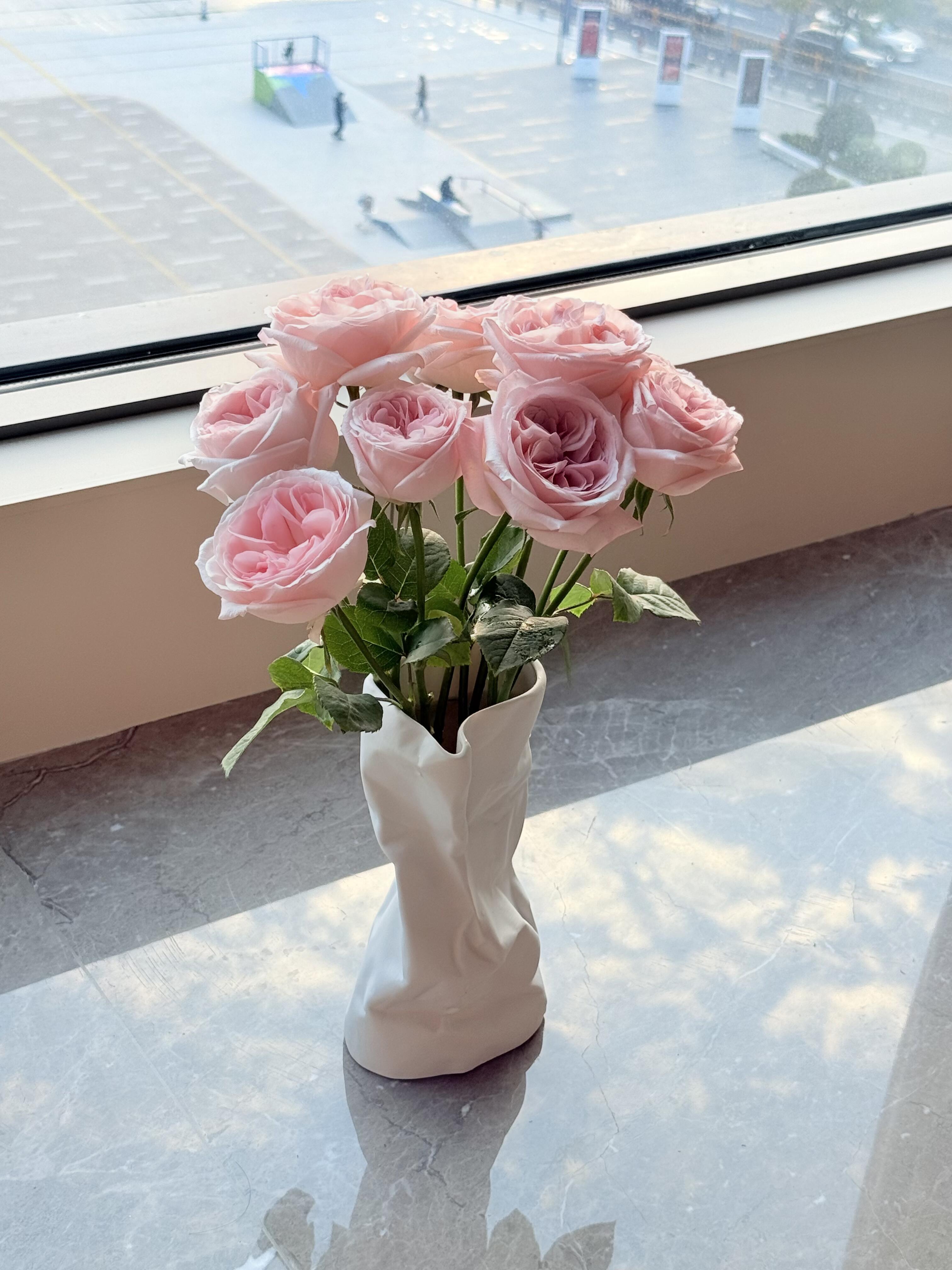 就算是夏天也要养玫瑰啊🌸 看到心情😊就很 配图3