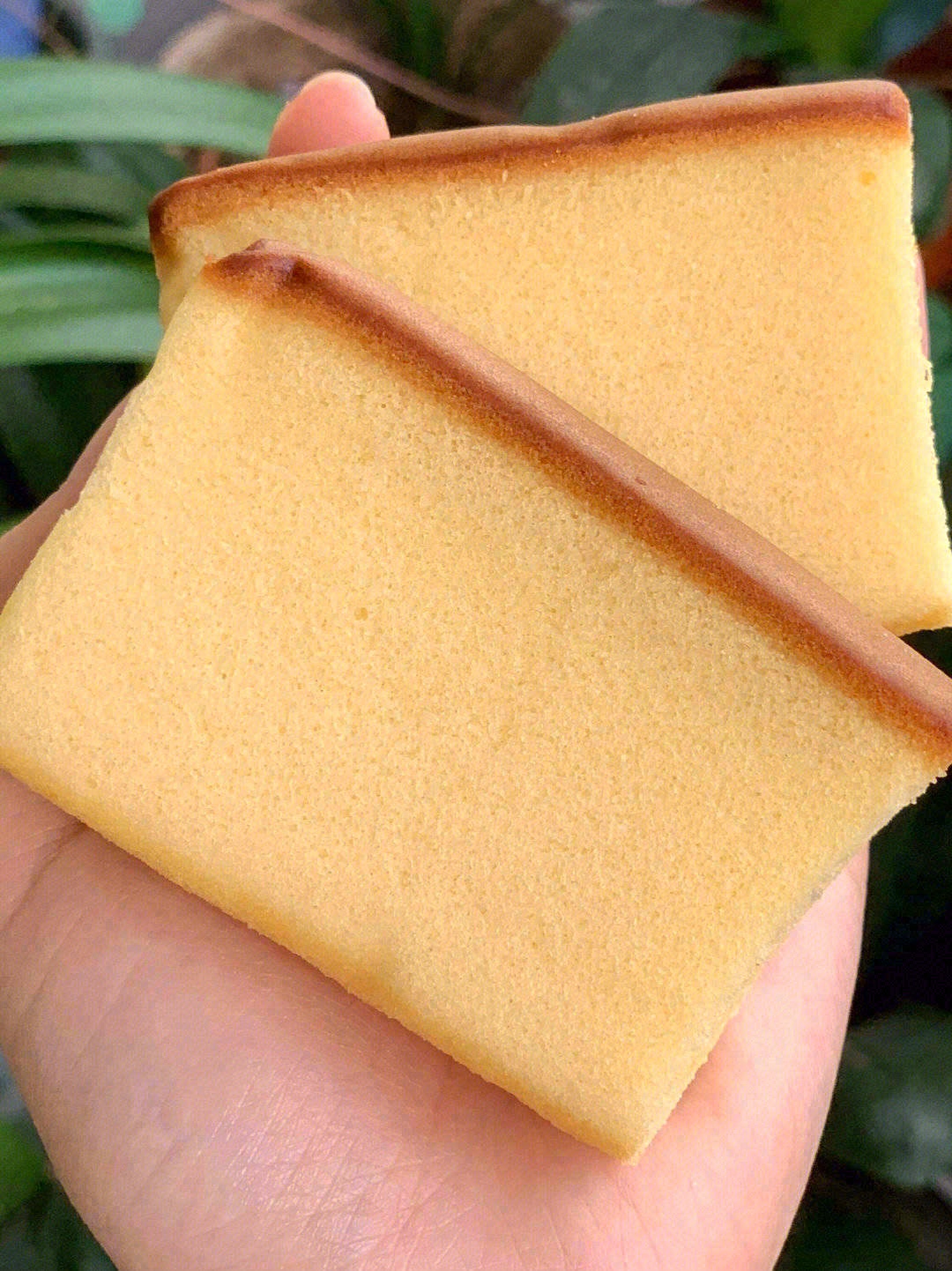 🍞饱满细腻，你轻轻按压就能在上面留下手印 配图2