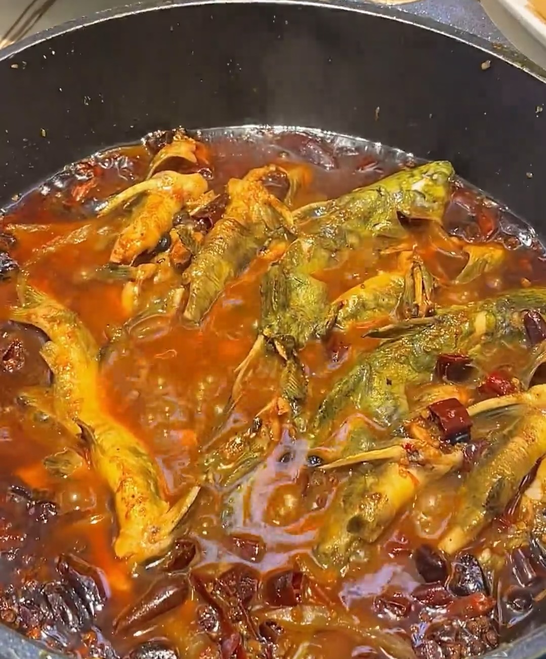 黄拉丁鲜鱼锅 活鱼现杀！！每一条鱼都鲜活 配图3