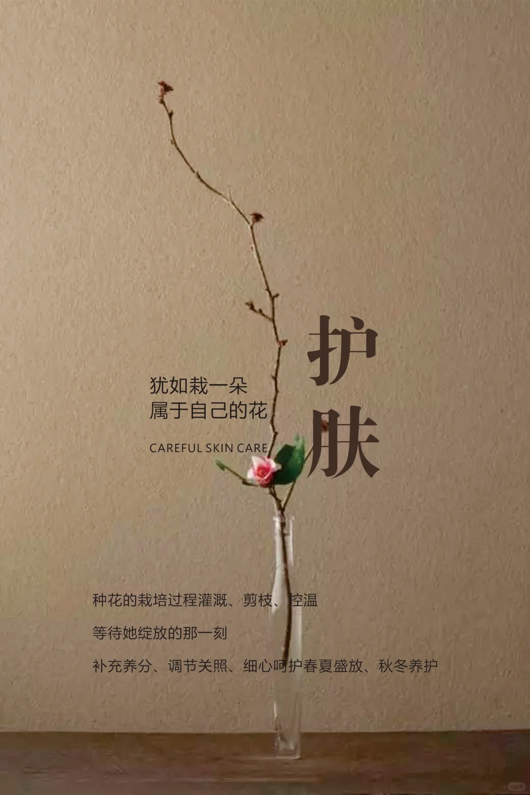 种自己的花 爱护自己娇嫩的肌肤🌺 配图2