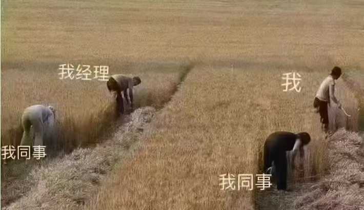 本人承诺： 凡是五一来找我做装修设计，给