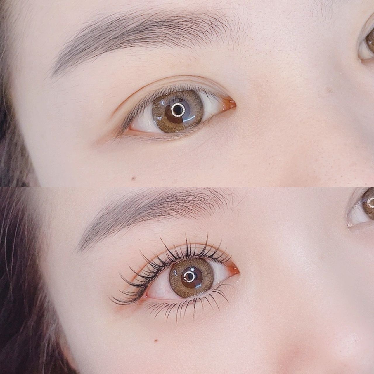 ⠀🦋 ✧◝ ᗰEIᒍIE ◜✧🦋 闪耀的