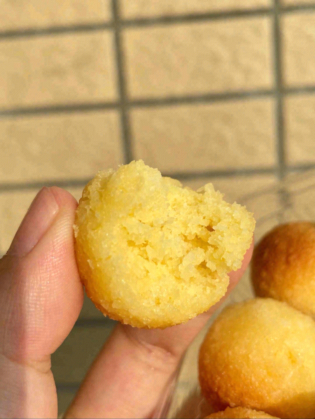 🎏精选最适合用于加工椰蓉的菲律宾LAGU 配图1
