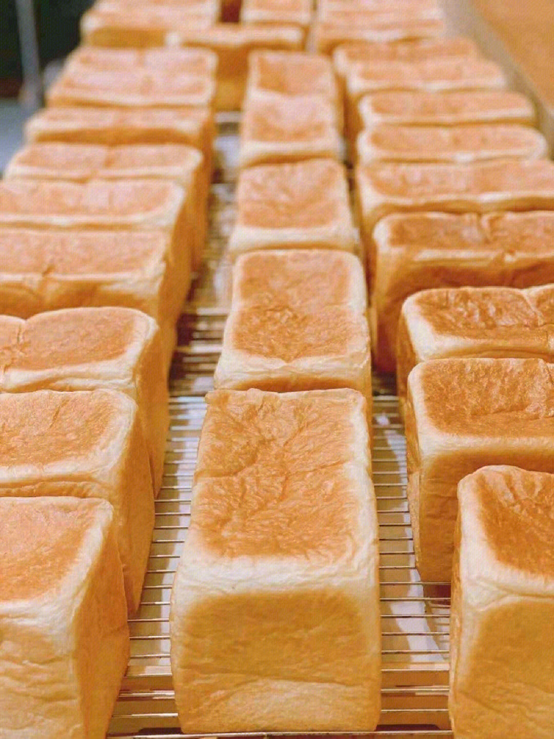 生活不仅要吃蛋糕🍰 还要大口大口地😋吃现