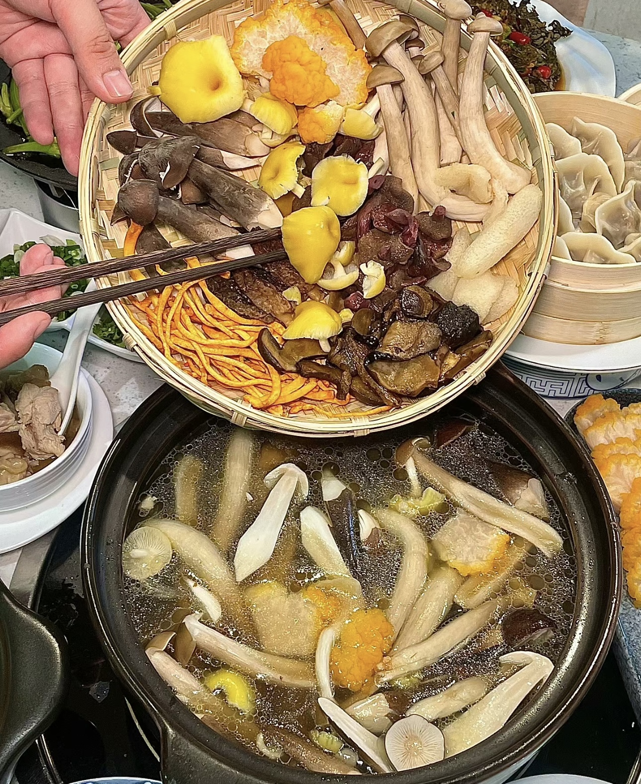 菌子火锅，是一场舌尖上的奇幻之旅。各种鲜 配图2