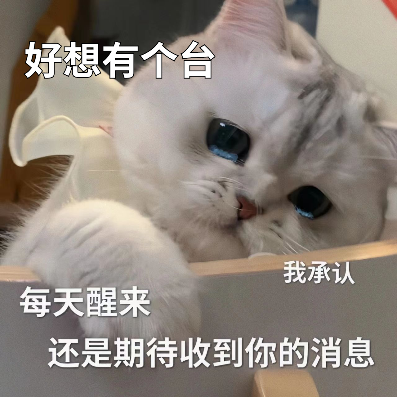 天天为了订台，伤脑筋， 翻了整个通讯录，