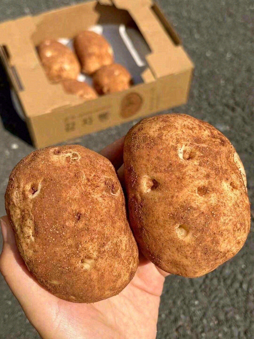 🥔它朴素、笨拙，仿佛在说“我很丑，但我很 配图3
