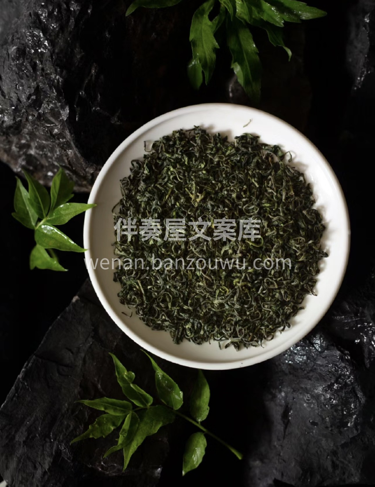 崂山绿茶，源自山海之间，独特风味。叶片嫩 配图3