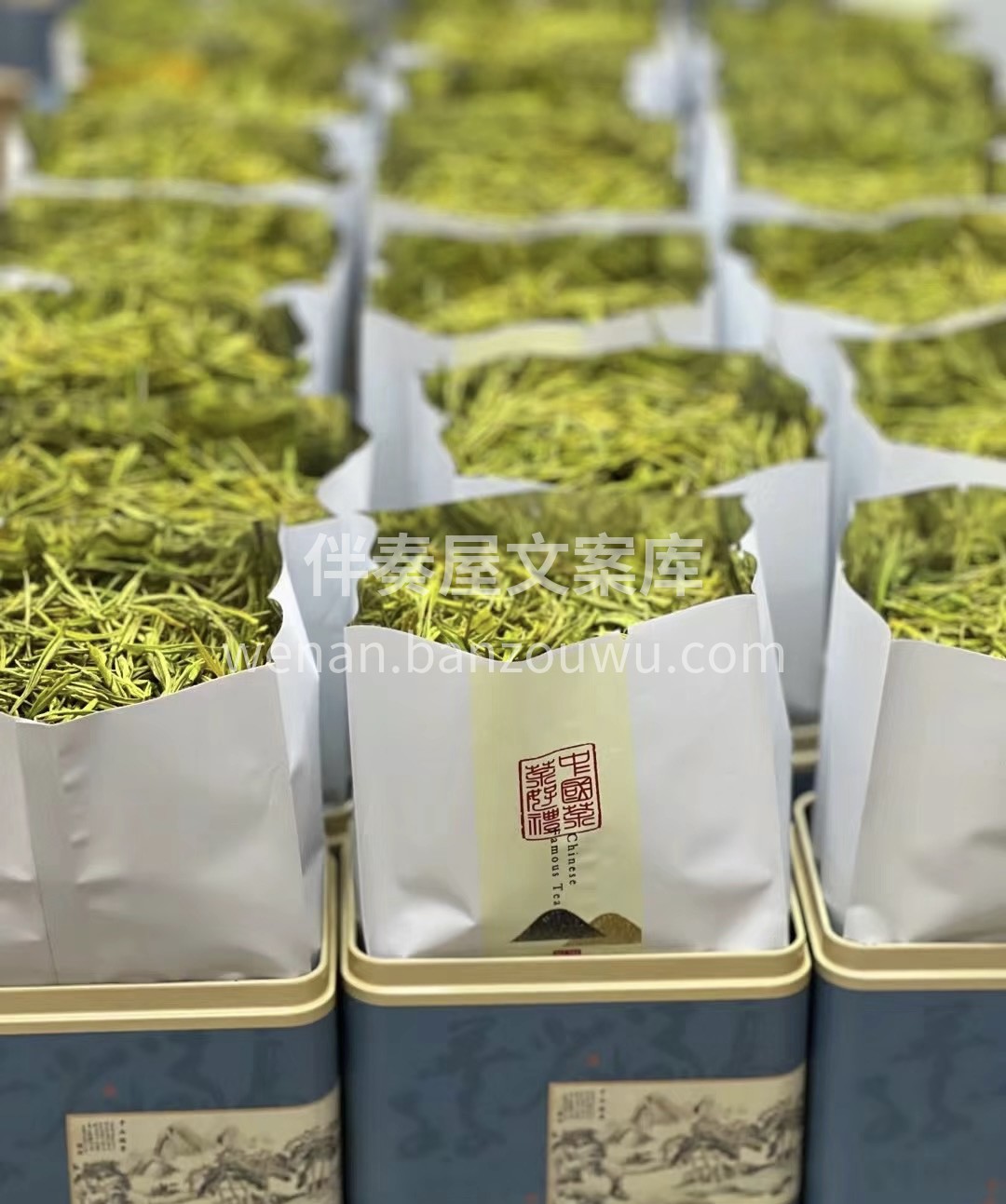 安吉明前白茶，香气高扬，芽头鲜嫩，入口回 配图3