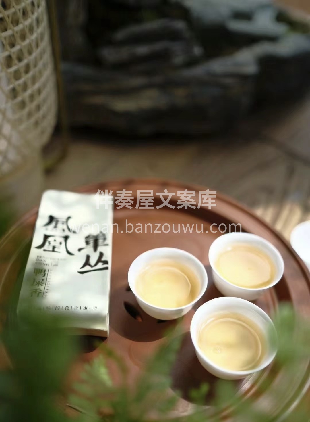 蜜兰香茶以花香浓郁、茶香清新、口感柔和、 配图2