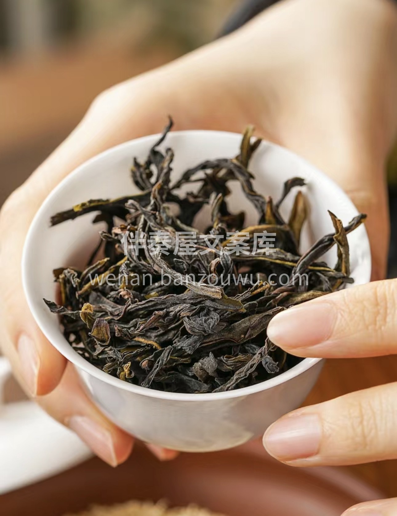 鸭屎香，又名银花香参 作潮州凤凰单丛茶的 配图2