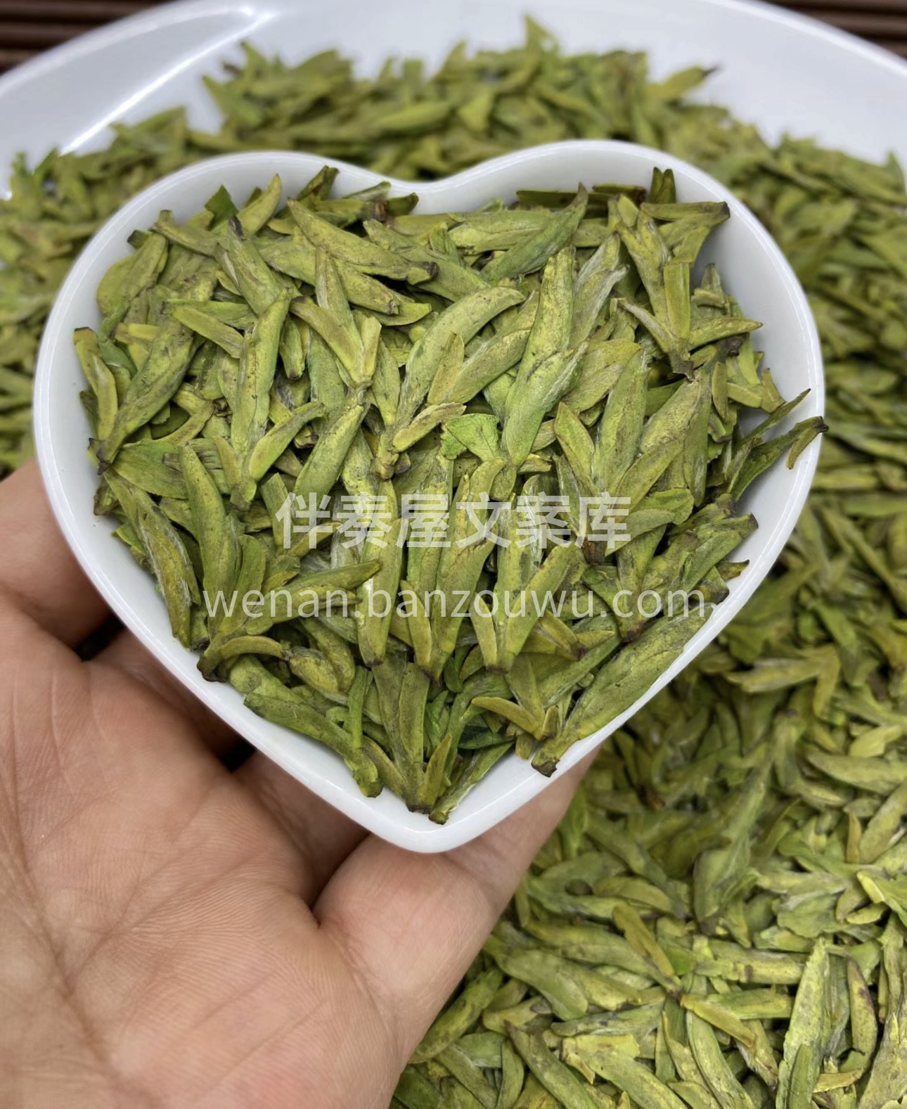 人间向暖，万物逢春 一程春暖花开，一路春 配图3