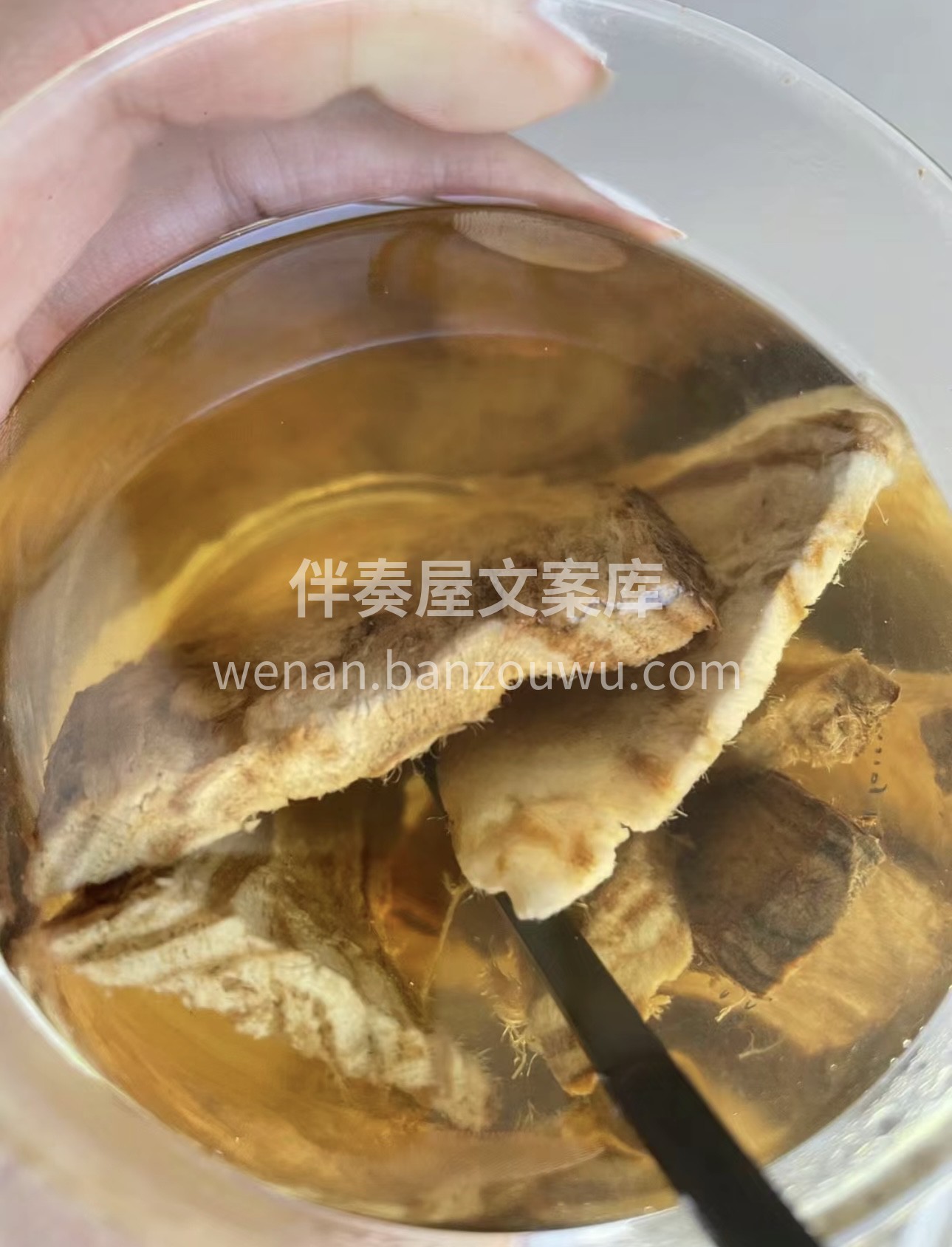 在这平凡又特别的一天，邂逅一杯葛根茶。它 配图1